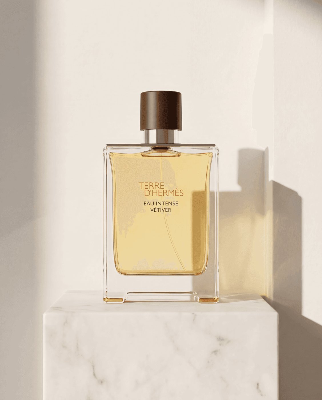 Hermes Terre D'Hermès