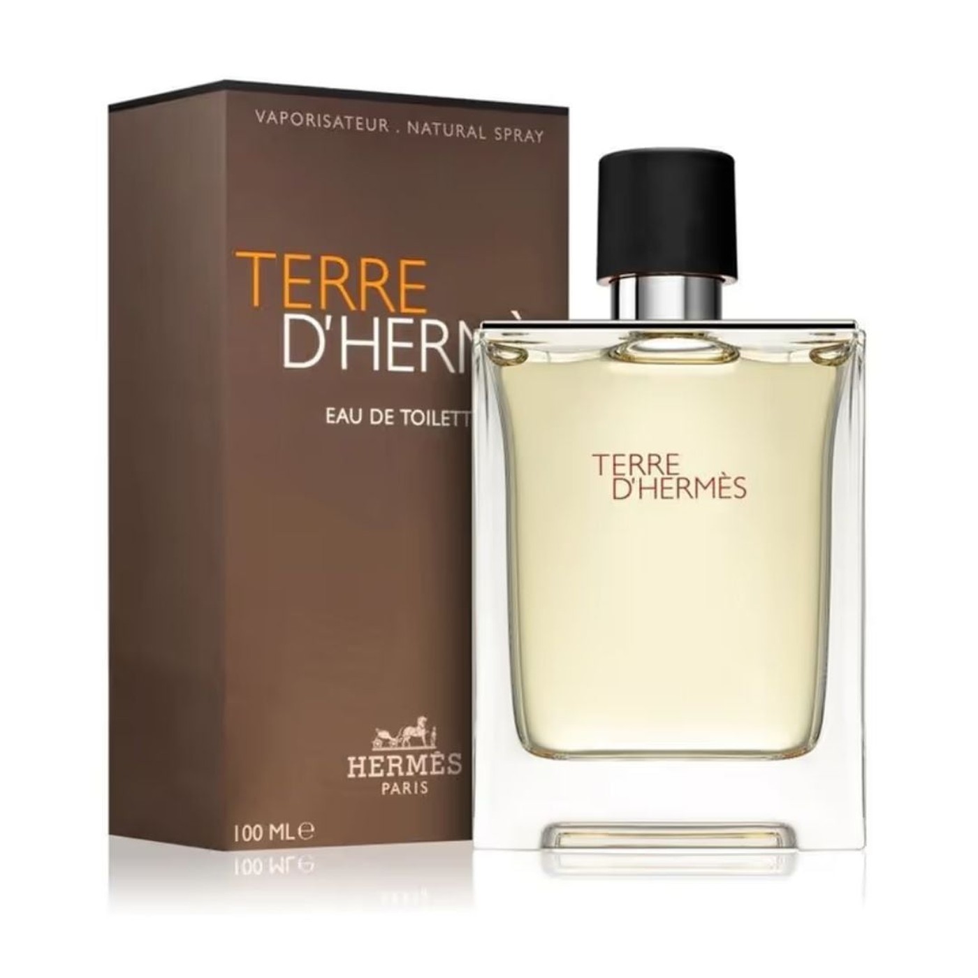 Hermes Terre D`Hermes Man Eau De Toilette, 100ML